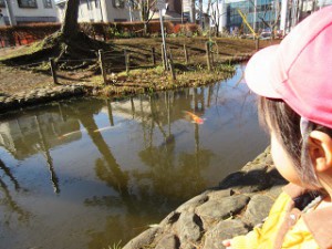 IMG_0444