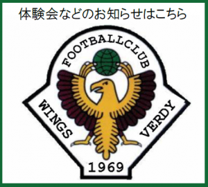 wings体験会