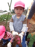 DSC03903