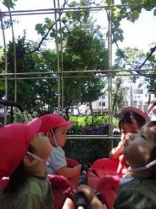 DSC05600
