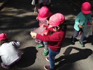 IMG_6752