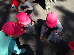 IMG_6756