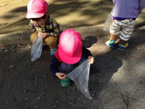 IMG_6761